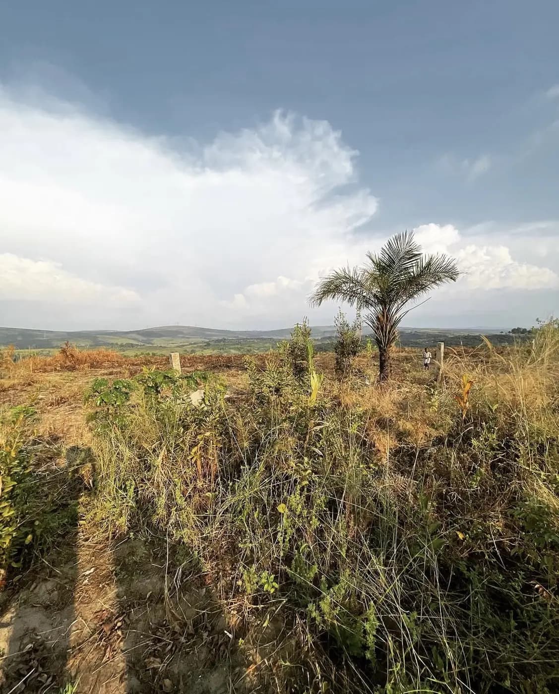 Le terrain de Kasangulu.