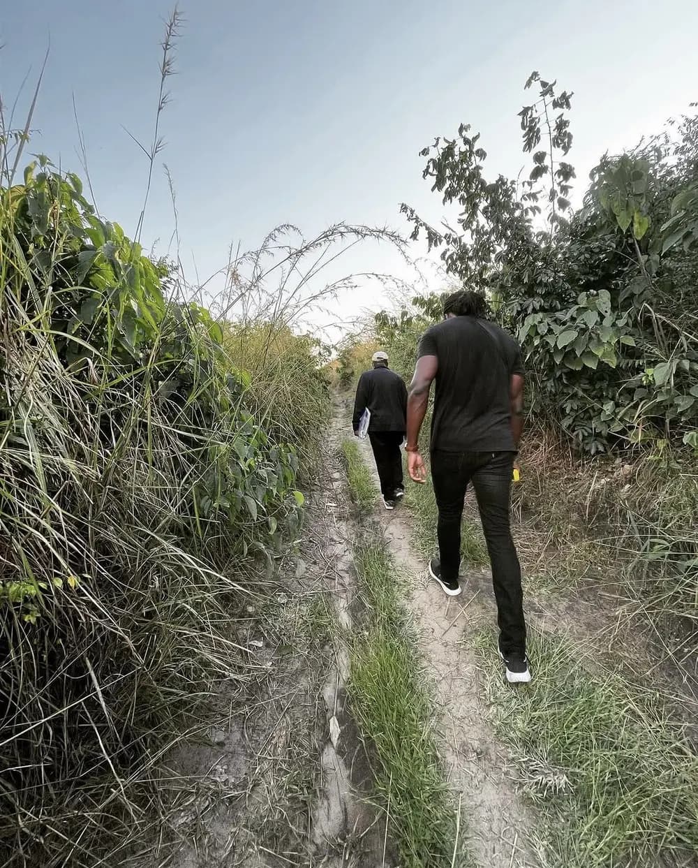 Le chemin qui mène au terrain.